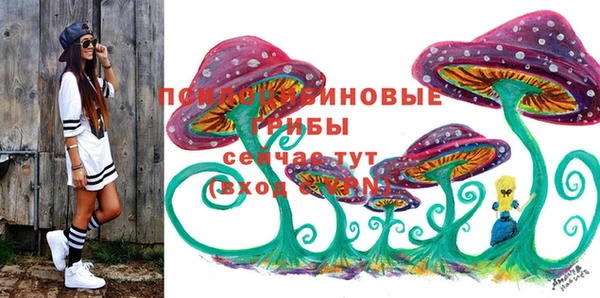 эйфоретик Верея