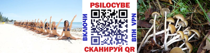 Галлюциногенные грибы мухоморы  как найти закладки  Владикавказ 